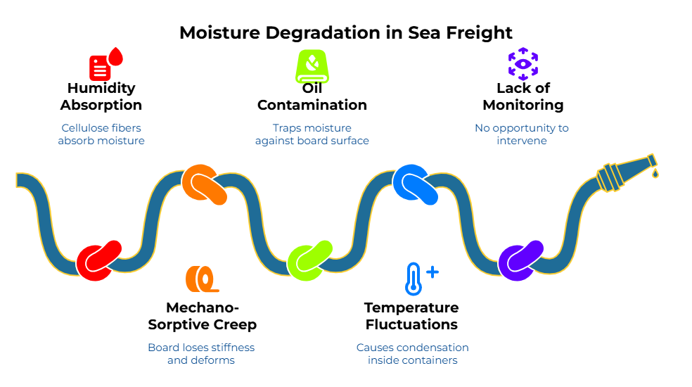 Moisture Ingress Chain.” A wavy hose with colored knots shows stages: cellulose fibers absorb moisture → moisture film traps water against the board → no opportunity to intervene during transit. Effects: board loses stiffness and deforms; temperature-humidity interaction causes condensation inside containers.